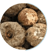 Konjac Extract Fiber