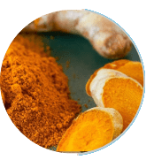 Turmeric Extract